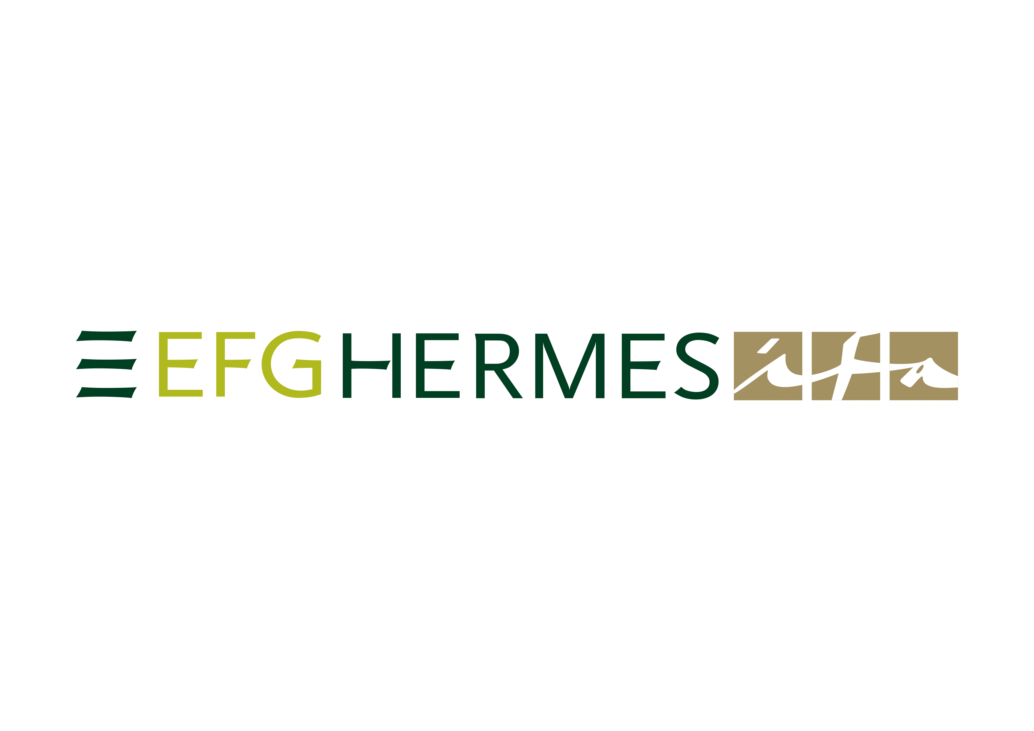EFG Hermes IFA